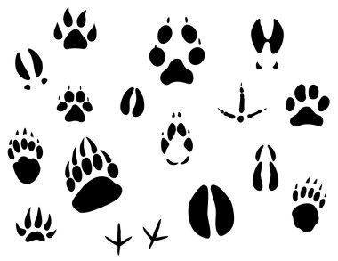 Animal footprints clipart