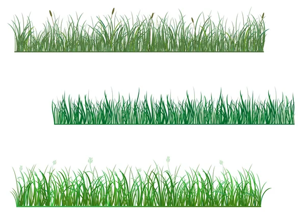 Patrones de hierba verde — Vector de stock