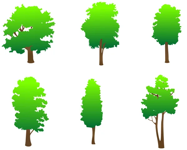 Árvores verdes —  Vetores de Stock