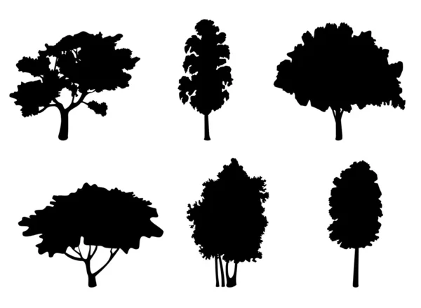 Siluety stromu — Stockový vektor