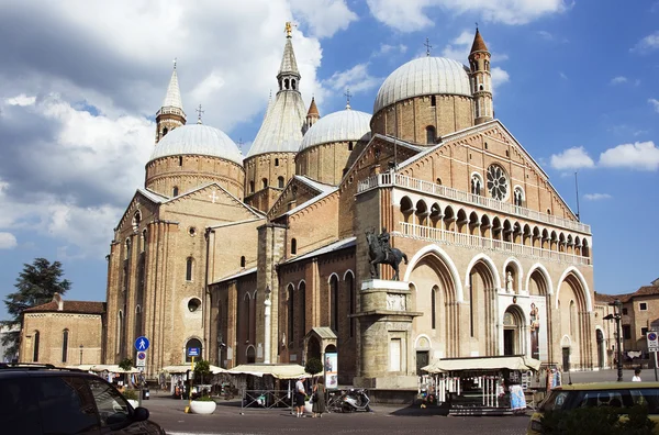 Katedral, Padua'nın — Stok fotoğraf