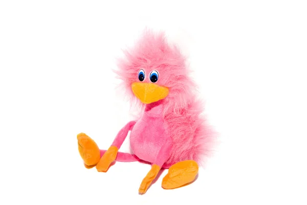 Pink ostrich — Stock Photo, Image