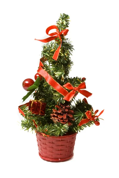 stock image Decorative fir