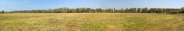 stock image Autumn field