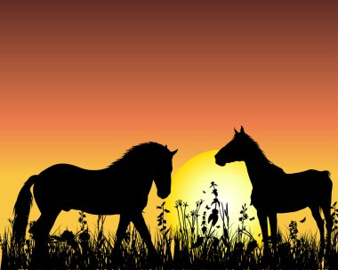 Horse on sunset background clipart