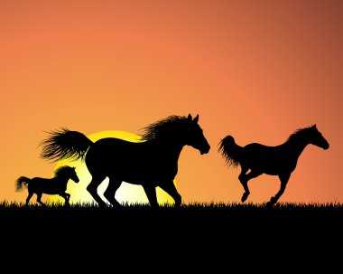 Horse on sunset background clipart