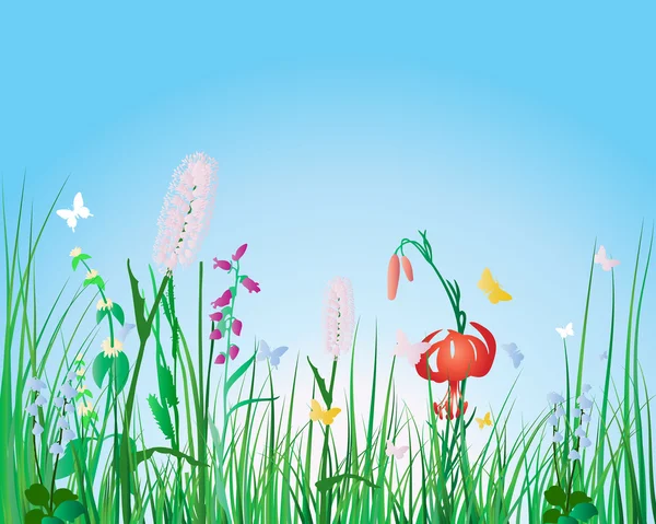 Fond d'herbe colorée — Image vectorielle