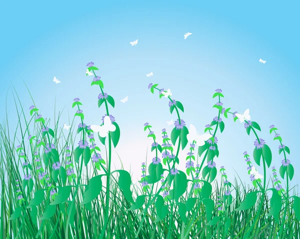 Fond d'herbe colorée — Image vectorielle