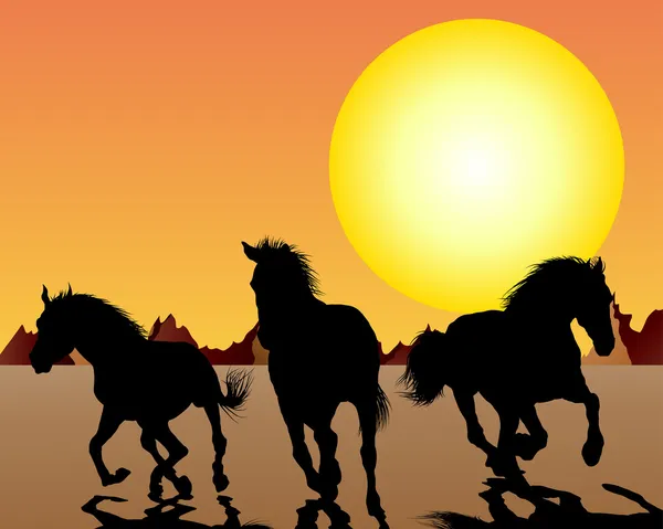 Koně na slunce pozadí — Stockový vektor