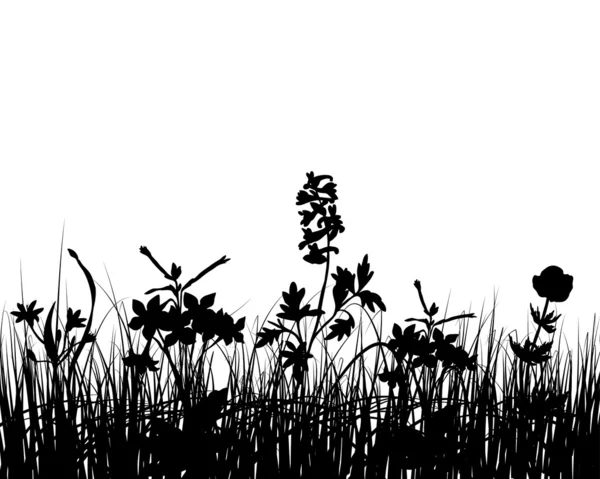 Siluetas de hierba — Archivo Imágenes Vectoriales