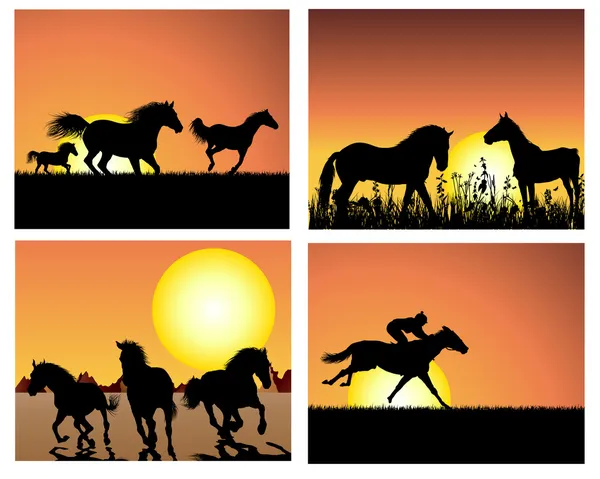 Koně na slunce pozadí set — Stockový vektor