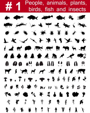 Vector silhouettes set. Set # 8 clipart