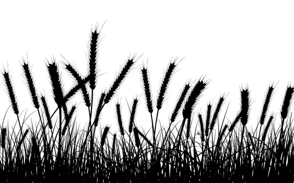 Lato łąka — Wektor stockowy
