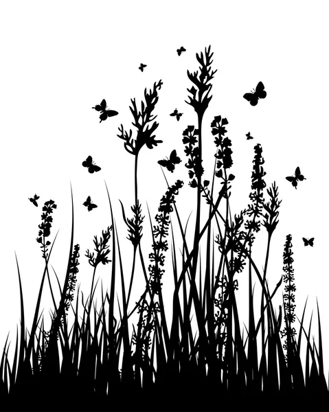 Blé et herbe — Image vectorielle