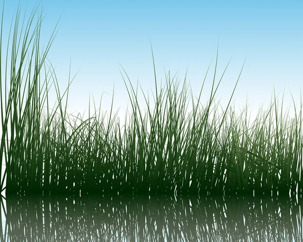 Gras op water — Stockvector