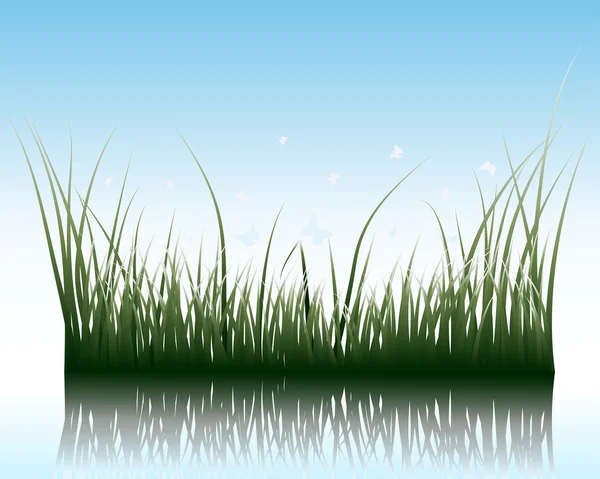 Трава на воде — стоковый вектор