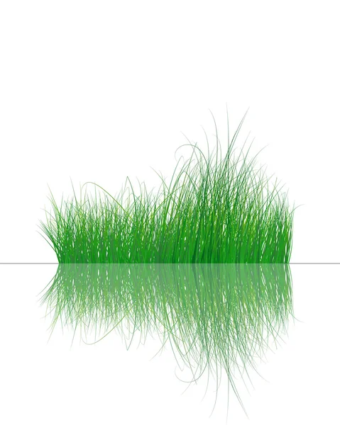 Gras auf dem Wasser — Stockvektor