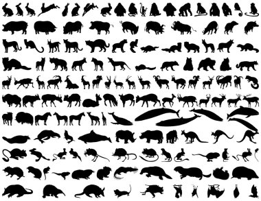 Vector animals clipart