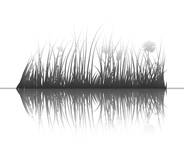 Трава на воде — стоковый вектор
