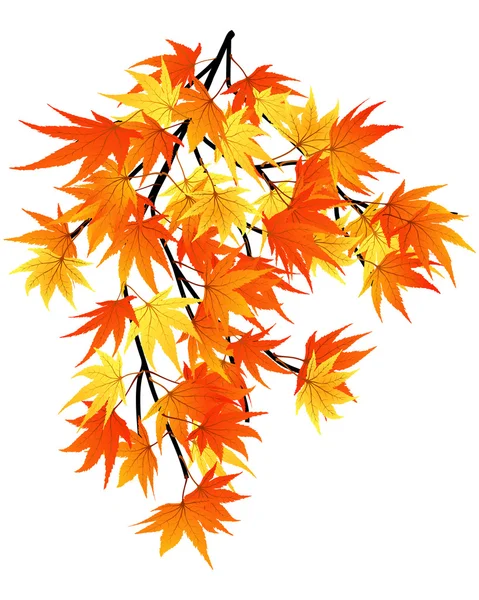Скрученные листья — стоковый вектор