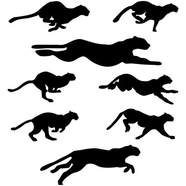 Ensemble de chats sauvages — Image vectorielle