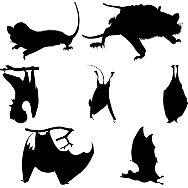 Силуэты летучих мышей — стоковый вектор