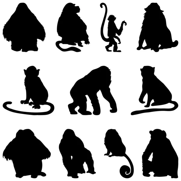 Conjunto de siluetas simios — Vector de stock