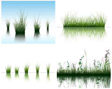 Grass on water clipart