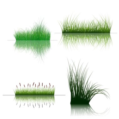 Grass on water clipart