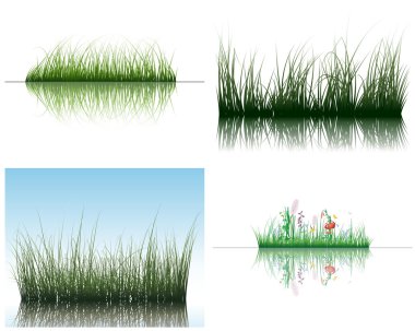 Grass on water clipart