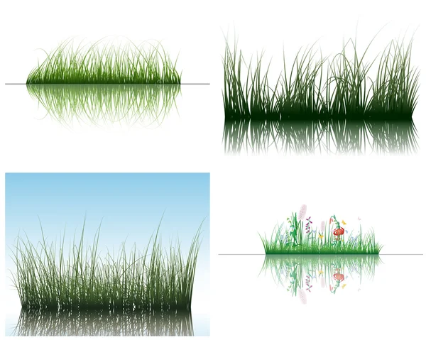 Herbe sur l'eau — Image vectorielle
