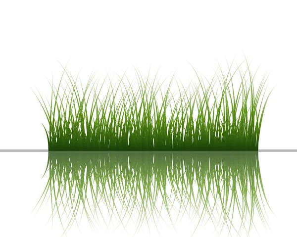 Трава на воді — стоковий вектор