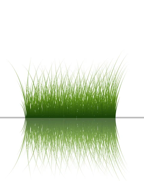Su çimen — Stok Vektör