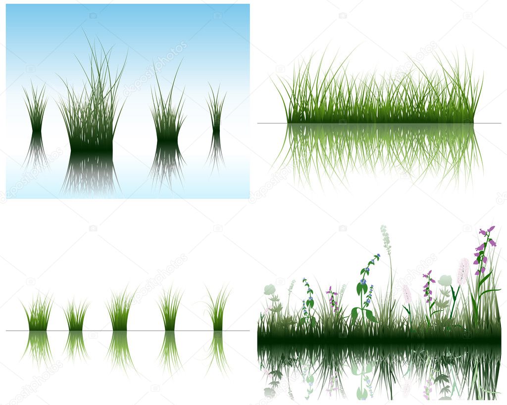 Grass on water