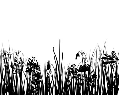 Grass and flowers clipart