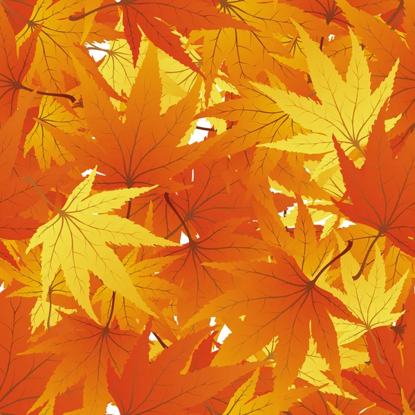 Seamless maple leaves — Stock Vector