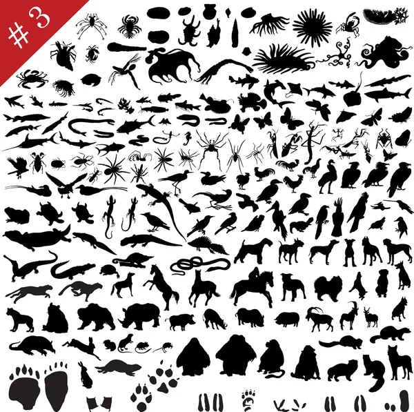 Set of animal silhouettes — Stock Vector
