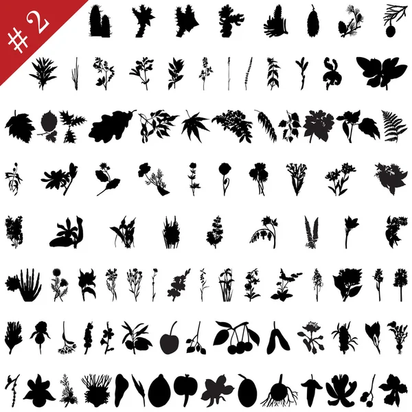 Set de plantes # 4 — Image vectorielle