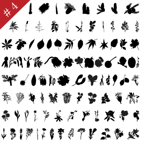 Set de plantes # 4 — Image vectorielle