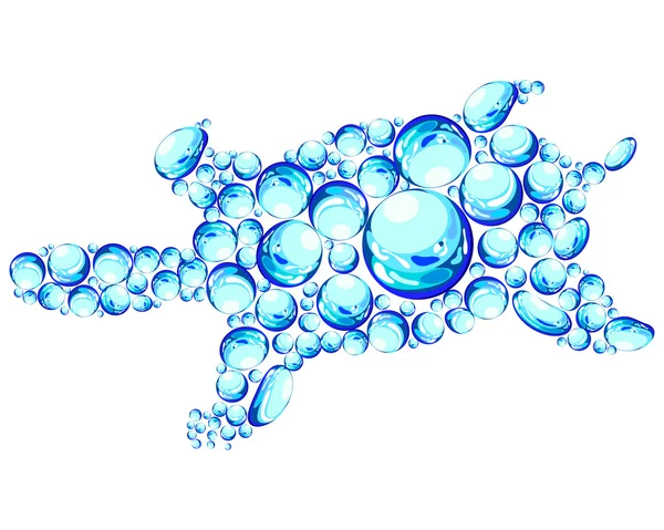 Tortue bulles — Image vectorielle