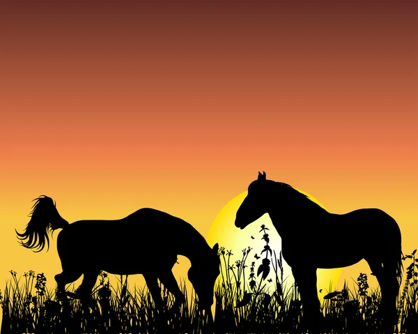 Paard op zonsondergang achtergrond — Stockvector