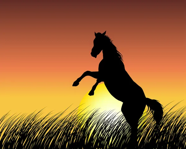 Häst på sunset bakgrund — Stock vektor
