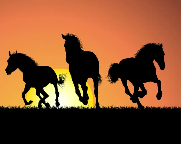 Cavallo sullo sfondo del tramonto — Vettoriale Stock