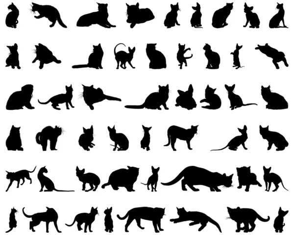 Conjunto de siluetas de gato — Vector de stock