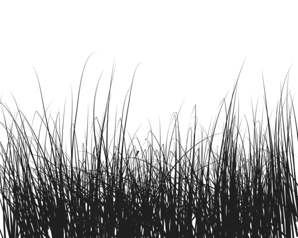 Herbe et fleurs — Image vectorielle