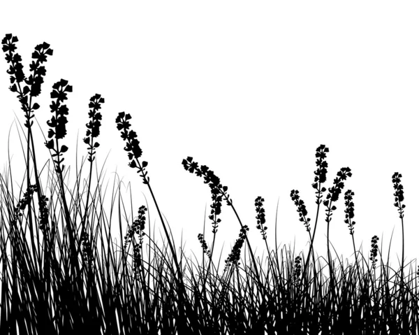 Gras und Blumen — Stockvektor