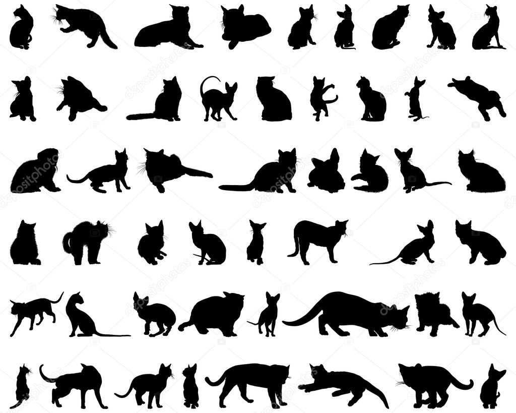 Cat silhouettes set
