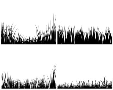 Set of grasses clipart