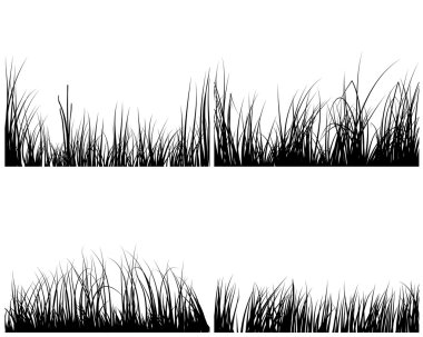 Set of grasses clipart