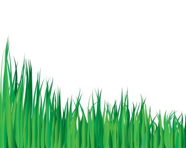 Grass background clipart